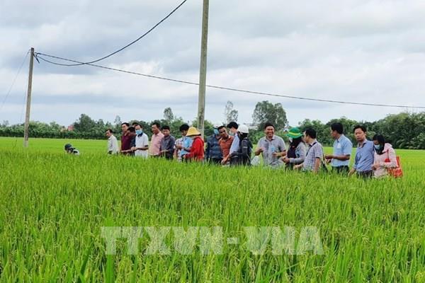 Nhân rộng mô hình Tổ khuyến nông cộng đồng