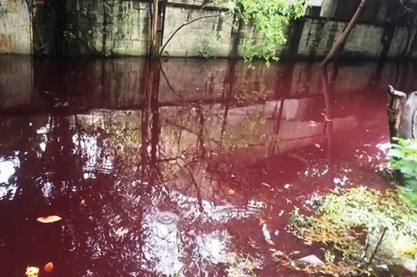 TP Hồ Chí Minh: Chưa xác định được nguyên nhân nước đỏ xuất hiện sau mưa