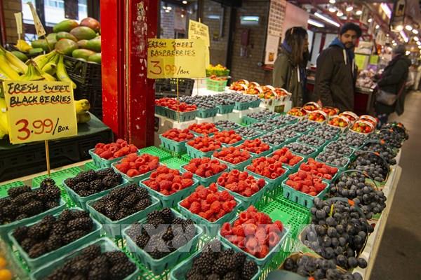 “Cơn bão hoàn hảo” đối với kinh tế Canada