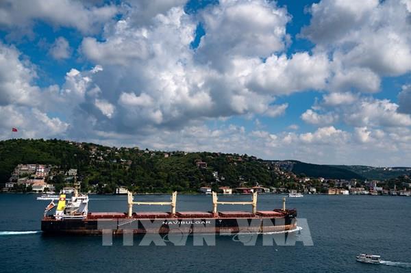 Thêm 12 tàu chở ngũ cốc rời các cảng của Ukraine 	