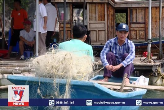 Phim tài liệu “Đi qua trũng bóng chết” của TTXVN đoạt nhiều giải tại các Liên hoan phim quốc tế