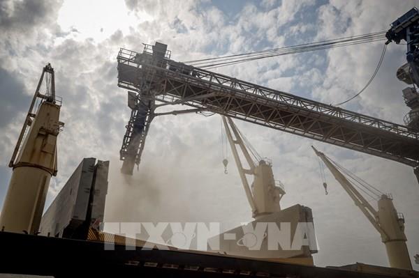 Nga đánh giá khả năng gia hạn thoả thuận ngũ cốc Biển Đen