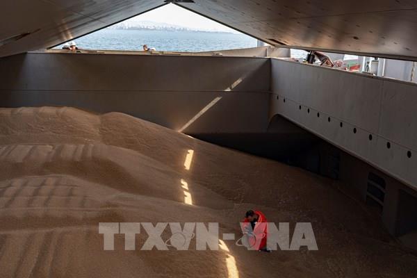 Nga thông báo kế hoạch hành động nếu thỏa thuận ngũ cốc ở Istanbul thất bại