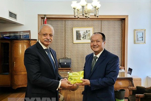 Nhiều cơ hội hợp tác với Ai Cập trong các lĩnh vực công nghiệp cơ khí, đóng tàu