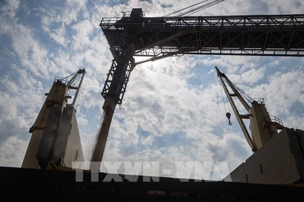 Dư luận quốc tế sau khi Nga rút khỏi thỏa thuận ngũ cốc Biển Đen