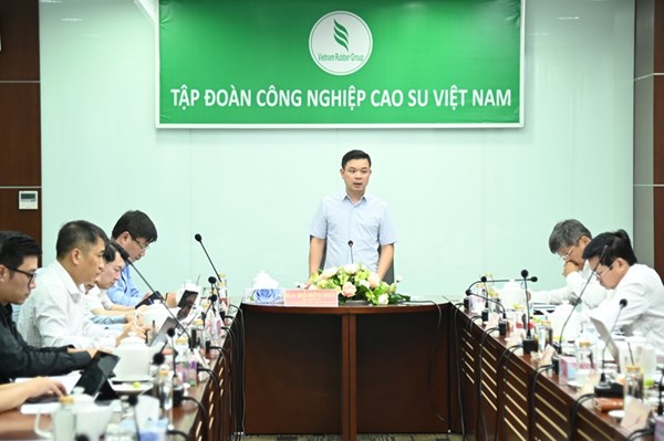 Xây dựng Đề án tái cơ cấu toàn diện Tập đoàn Công nghiệp Cao su Việt Nam
