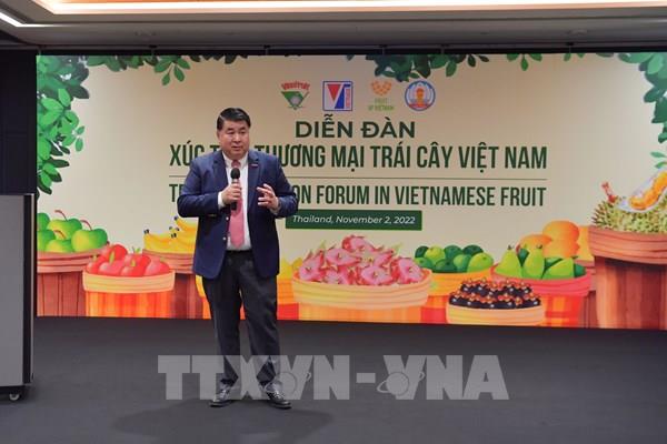 Để trái cây Việt Nam hiện diện nhiều hơn tại Thái Lan