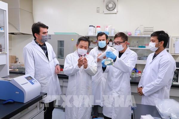 Các nhà khoa học Việt Nam phát hiện chiết xuất từ lúa gạo ức chế tế bào ung thư 