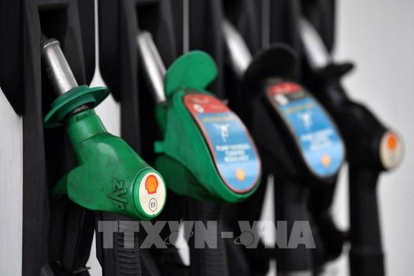 "Bấp bênh" giá khí đốt châu Âu