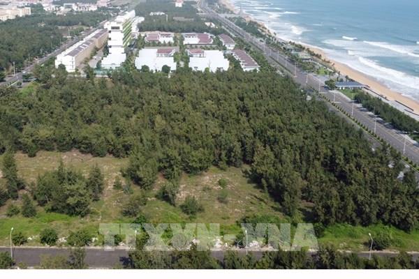 Phú Yên ban hành giá bồi thường cây trồng để giải phóng mặt bằng cao tốc Bắc - Nam