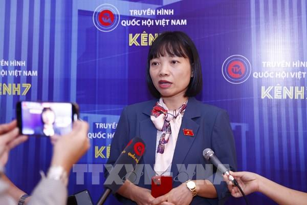 Hoạt động của ngành Thanh tra còn phát hiện tiêu cực trong chính công tác thanh tra