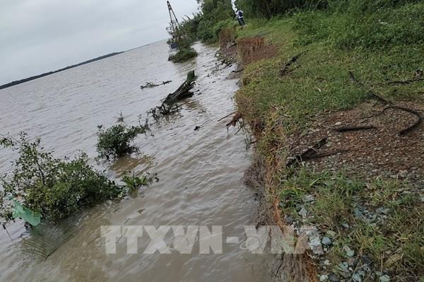 Bến Tre kiến nghị khắc phục sạt lở tuyến đê biển khu vục huyện Bình Đại