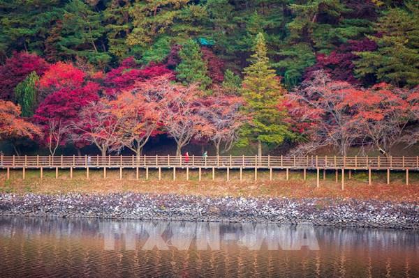 Sắc màu mùa Thu tại nhiều quốc gia trên thế giới