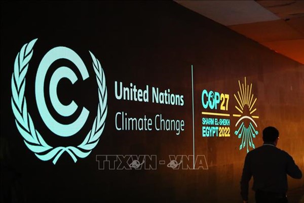 Bài học từ chính sách chuyển đổi kinh tế "xanh" của Ai Cập