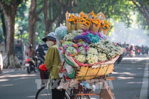  Những chiếc xe chở mùa Thu trên phố phường Hà Nội