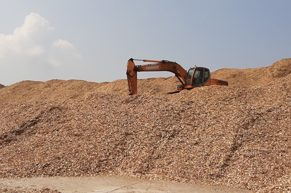 Hoàn thuế VAT kéo dài, doanh nghiệp gỗ gặp khó