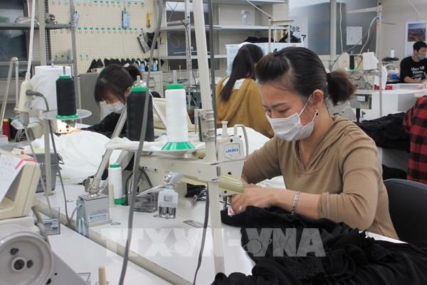 Thúc đẩy năng suất lao động cho tăng trưởng bền vững ở Việt Nam