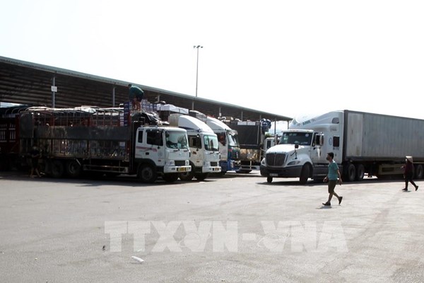 Lào Cai nhiều tiềm năng phát triển hạ tầng logistics