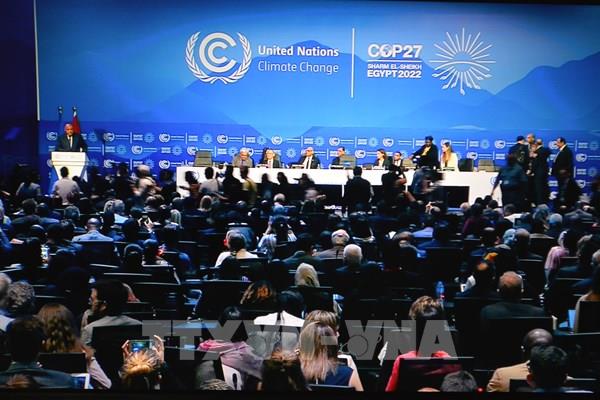 COP27: Ngành sản xuất ô tô không đáp ứng được các mục tiêu về khí hậu