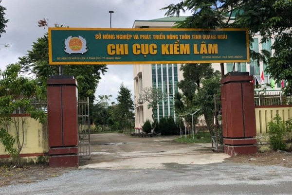 Nhiều sai phạm tại Chi cục Kiểm lâm Quảng Ngãi 