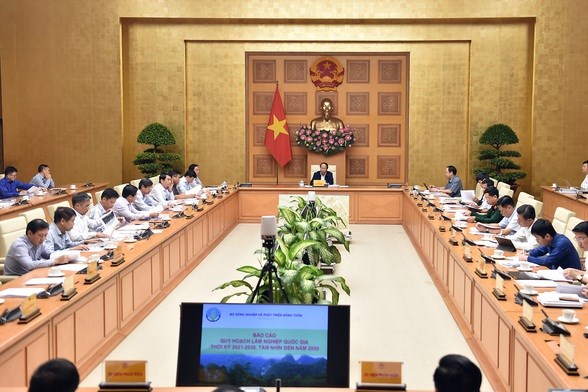Quy hoạch lâm nghiệp bảo đảm thực hiện cam kết COP26