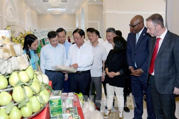 Giải pháp phát triển sản phẩm vùng miền và du lịch nông thôn