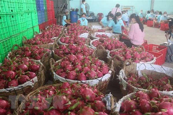 Bộ Công Thương công bố danh sách 281 doanh nghiệp xuất khẩu uy tín năm 2021