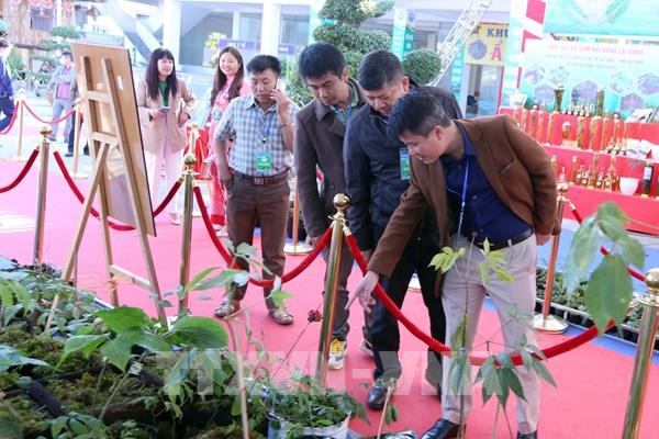 Bế mạc Hội chợ Sâm Lai Châu năm 2022