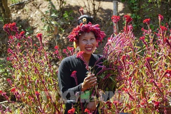 Tết Hoa của đồng bào dân tộc Cống ở Lả Chà (Điện Biên)