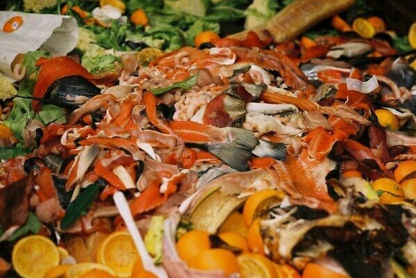 Israel: Lượng thực phẩm bị lãng phí đủ nuôi sống 3,5 triệu người