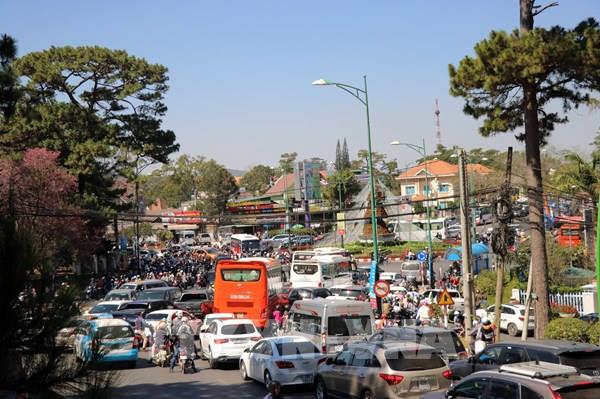 Đà Lạt đề xuất lắp đặt thêm hệ thống đèn giao thông