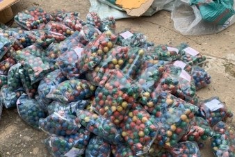 Phát hiện xe khách vận chuyển gần 300 kg pháo lậu