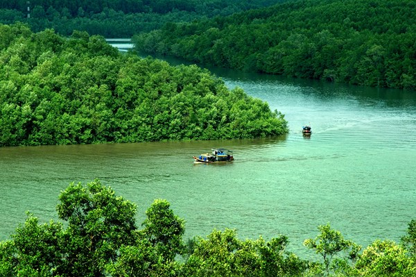 Phát triển kinh tế vùng Đông Nam Bộ: Tăng sức mạnh cho đầu tầu kinh tế
