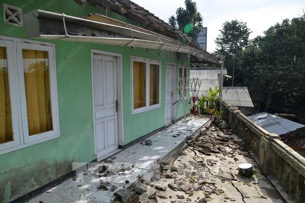 Động đất tại Indonesia: Số người thiệt mạng tăng lên 252 người