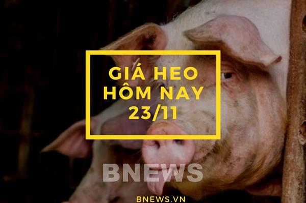 Giá heo hơi hôm nay 23/11: Tiếp tục ghi nhận dấu hiệu tăng ở một vài địa phương