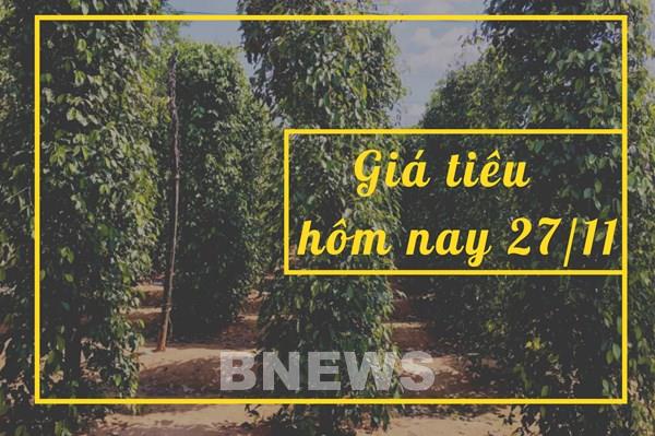 Giá tiêu hôm nay 27/11: Xu hướng đi ngang chưa thấy điểm dừng