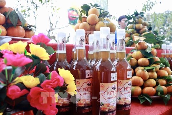 Yên Bái: Bảo hộ chỉ dẫn địa lý, nâng cao giá trị các nông sản đặc trưng của huyện Văn Chấn