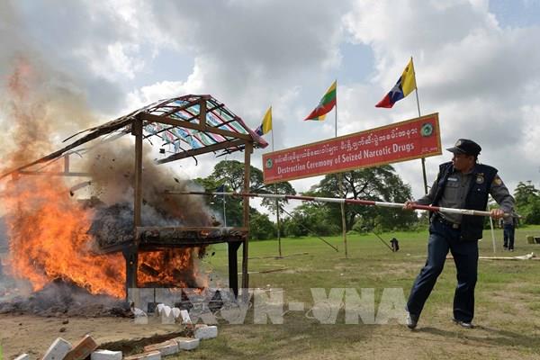 Myanmar thu giữ số ma túy trị giá hơn 13 triệu USD