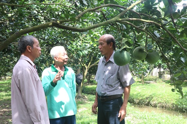 Học cách tìm đầu ra nông sản chuyên nghiệp