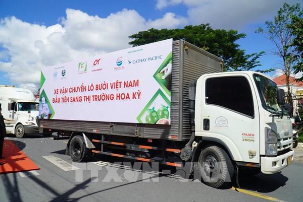 Công bố xuất khẩu lô bưởi đầu tiên của Việt Nam sang Hoa Kỳ