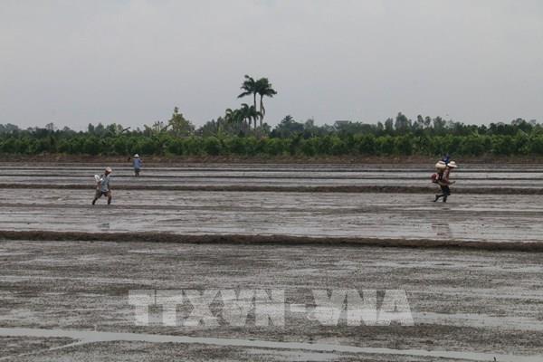 Kinh tế 6 tháng: Tiền Giang đạt mức tăng trưởng khá