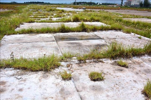 Tp. Hồ Chí Minh: Thanh tra đột xuất 15 đơn vị sử dụng đất