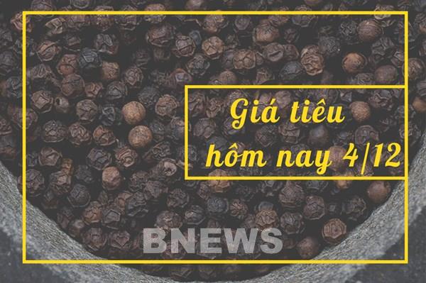 Giá tiêu hôm nay 4/12: Tiếp tục tăng lên hay chững lại?