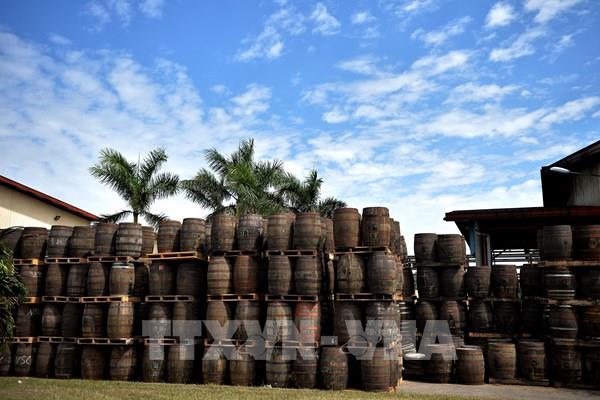 Cuba đón gần 1 triệu du khách quốc tế kể từ đầu năm