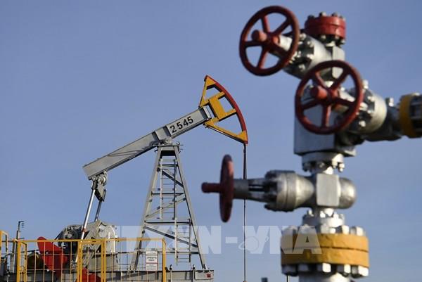 Nga và Saudi Arabia thảo luận về quyết định cắt giảm sản lượng dầu của OPEC+