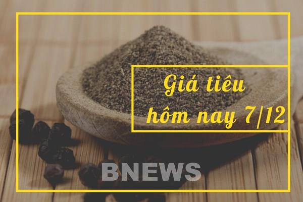 Giá tiêu hôm nay 7/12: Tiếp tục xu hướng trầm lắng