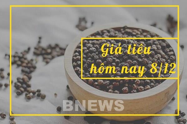 Giá tiêu hôm nay 8/12: Tiếp xu hướng trầm lắng