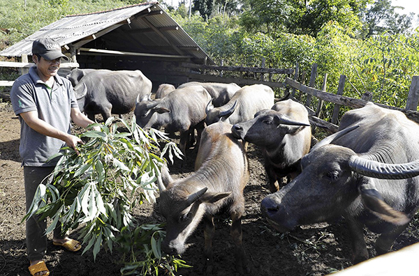 Gian nan hành trình giảm nghèo bền vững