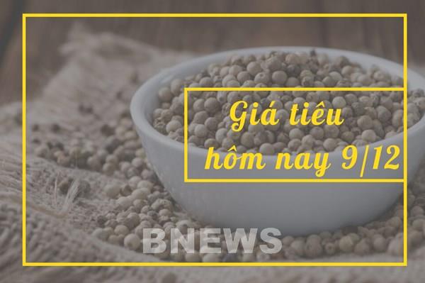 Giá tiêu hôm nay 9/12: Quay đầu giảm 500 - 1.000 đ/kg