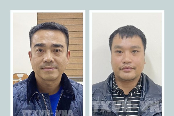 Khởi tố Tổng Giám đốc Công ty Blue Sky về hành vi “Đưa hối lộ”